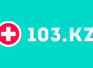 Логотип 103.kz
