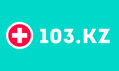 Логотип 103.kz