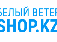 Логотип Белый Ветер