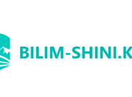 Логотип bilim-shini.kz