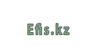 Ефис кз (efis.kz) – личный кабинет