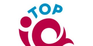 TopIQ.kz - личный кабинет